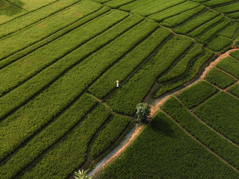 Agricultura